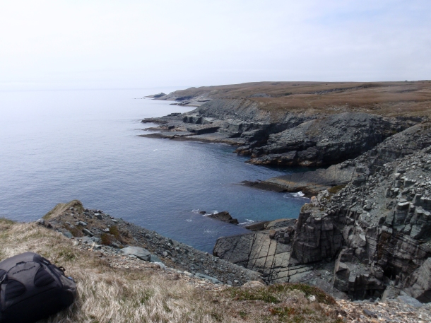 From seabed to seabed - the Ediacaran age strata of Newfoundland’s Mistaken Point were originally deposited on the seabed some 565 million years ago and are now being worn away by Atlantic waves. (photo courtesy of Dr Emily Mitchel)